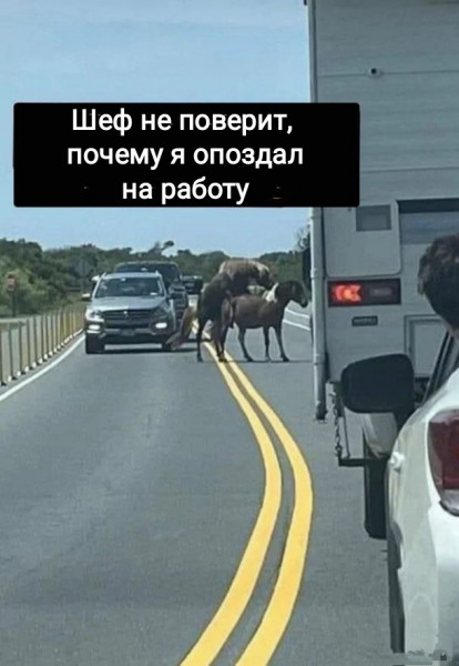 Юмор в картинках и без