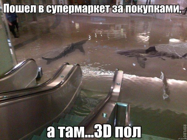 Так себе картинки 19.07.22