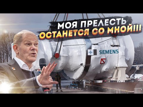 Пандемия съехавших крыш - разновидности болезни. Россия и мир. Часть 40.