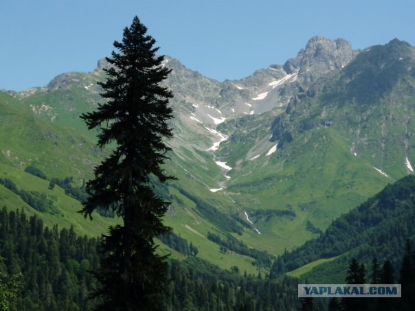 Абхазия там где....