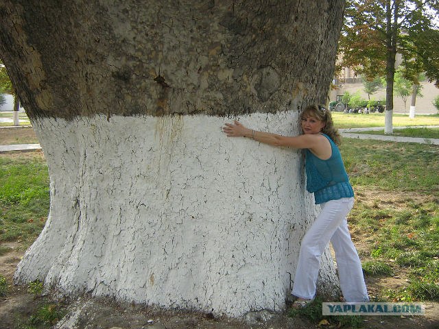 Узбекистан-Махалля и люди