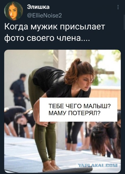 Подборка смешных картинок на ночь 31.10.22