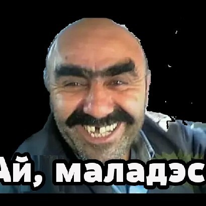 Аэродинамические свойства голубя