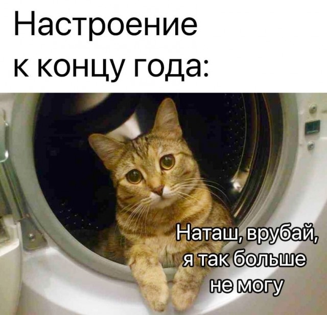 Картинки и мемы для настроения - 133
