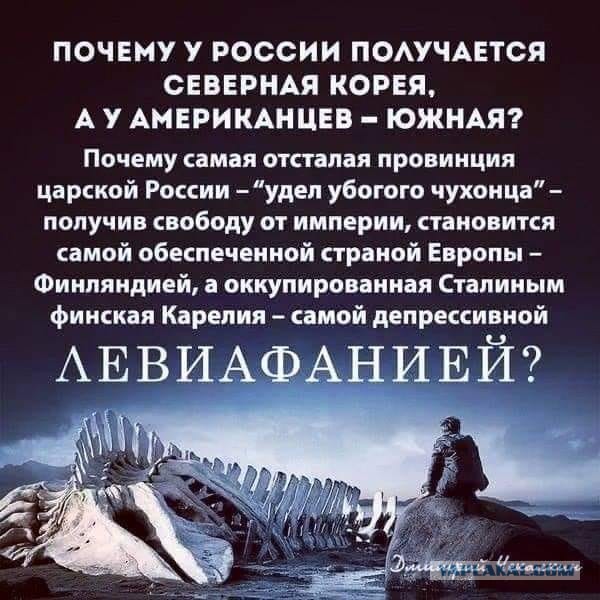 Главные заявления Димона из интервью Надане Фридрихсон: