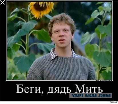 Кажется?