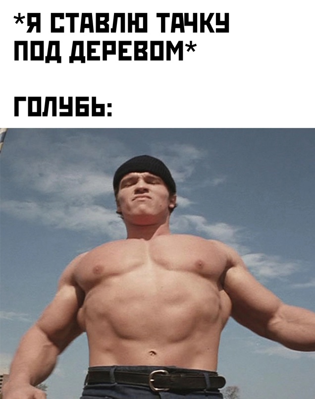Картинки и мемы для настроения - 181