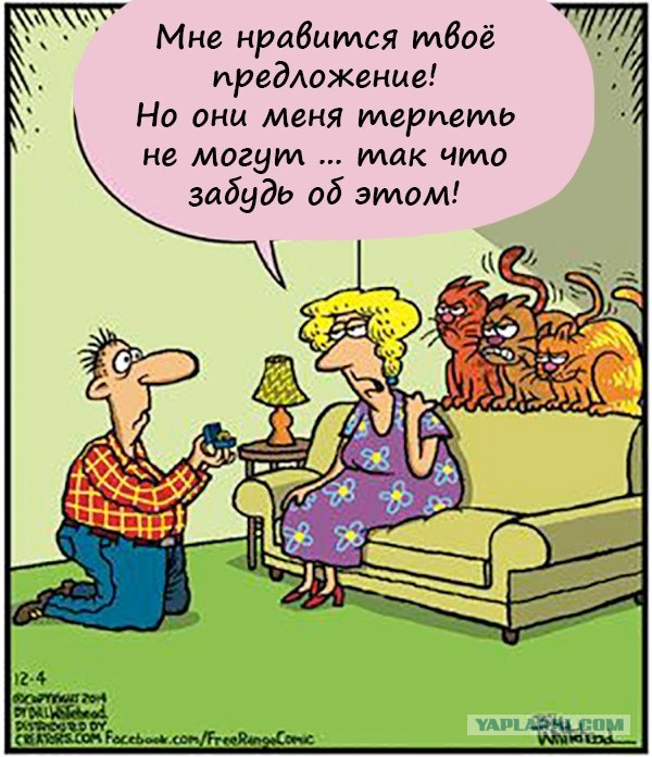 Парень приютил котёнка