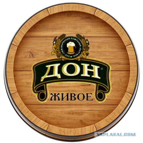 Начали задерживать пособников и модераторов проукраинского канала «утро догистайлом»