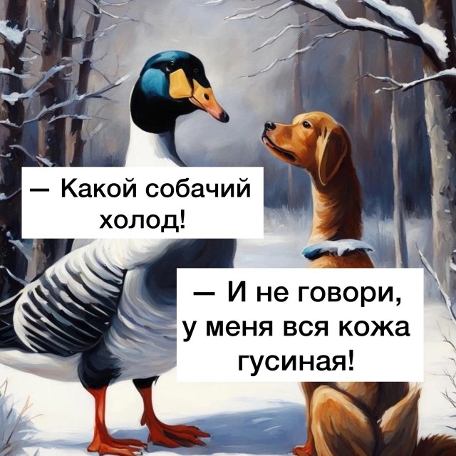 Так себе картинки 15.12.23