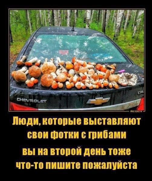 Всего понемногу. От 03.09.24