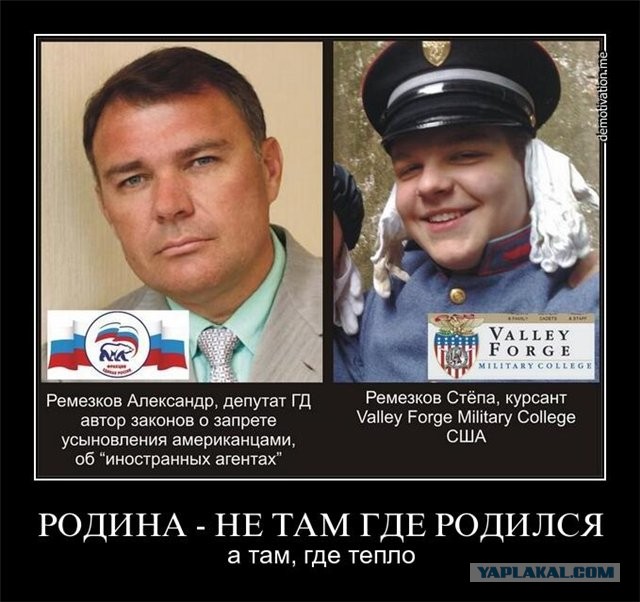 Навальный – президент ботов