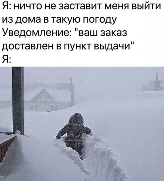 Веселые картинки в пятницу (27.12)