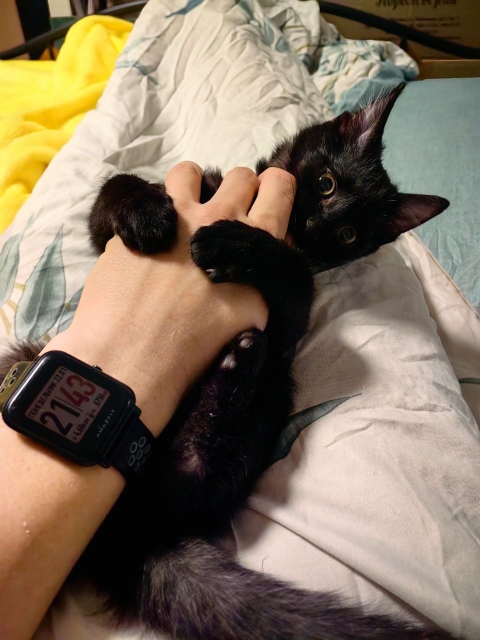 Я больше не раб :(