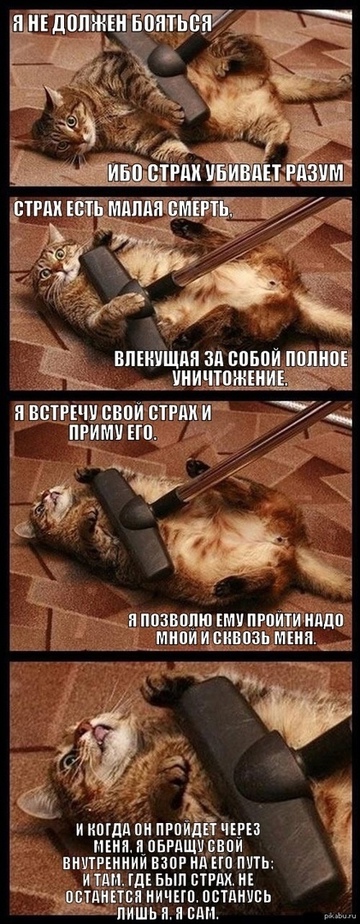 Мойка ребенка