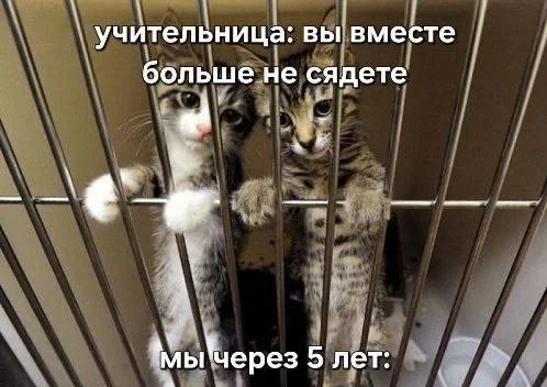 Обычные дома в Рязани