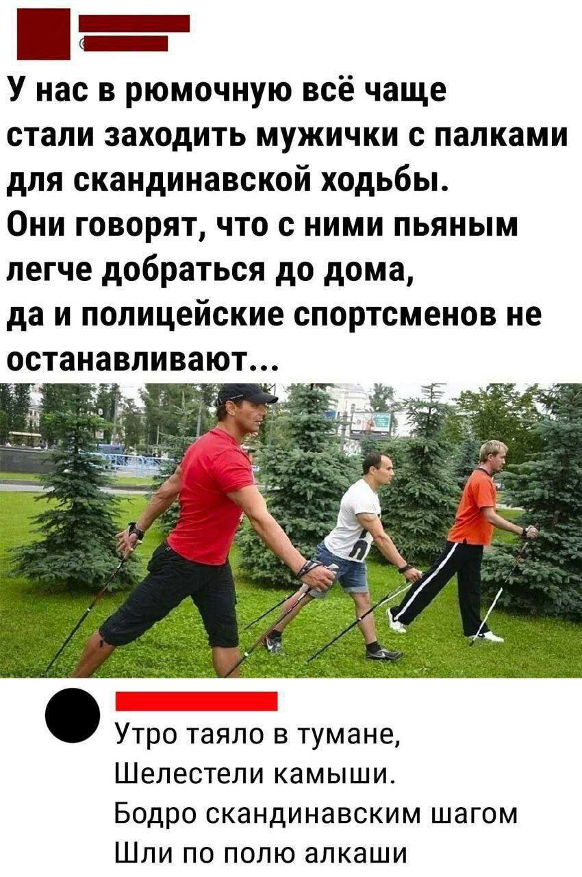 20087536.jpg