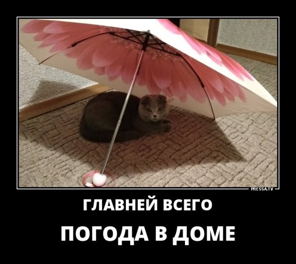 Трехдневный Кошмар Надвигается на Москву!МЧС бьет в набат: ваши выходные обречены!
