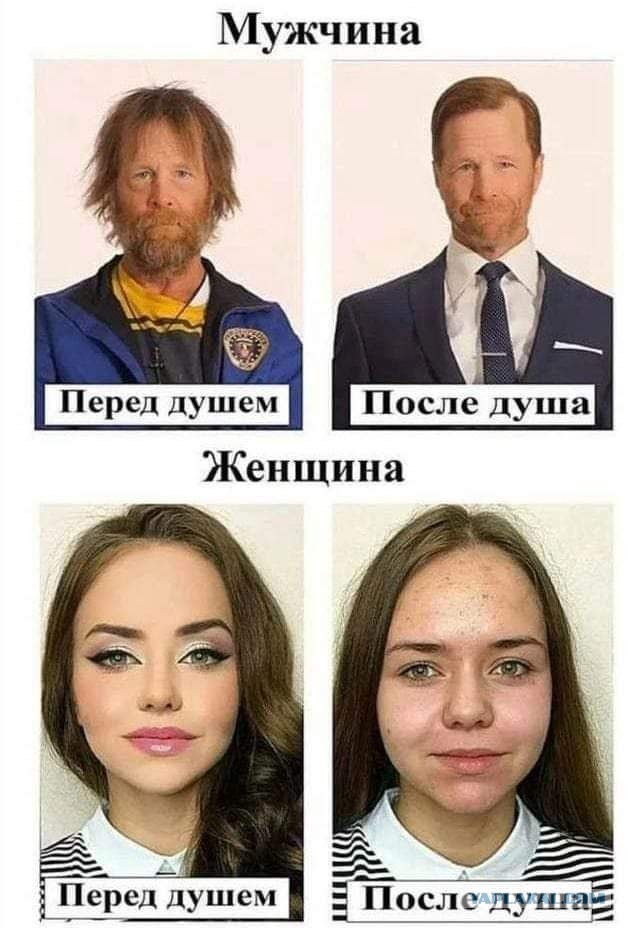 «Природа» тарелочниц