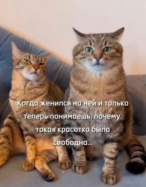 Сундук деграданта! Выпуск номер 10!