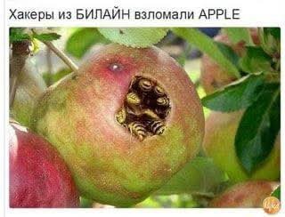 Маленькая пятница 22.10