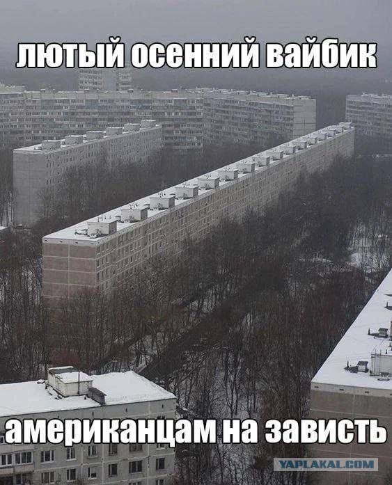 Веселое настроение в картинках (19.11.2025)