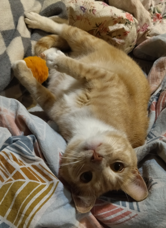 Литературное заведение "Буквица"