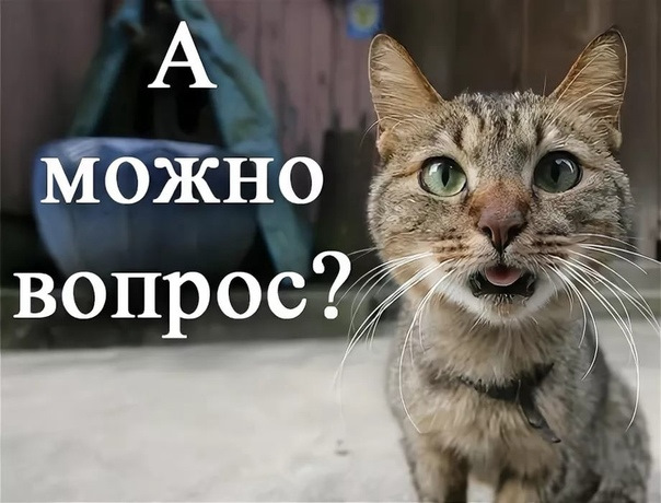 Пруд надо кому?