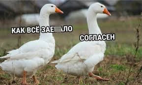Новый Год вообще будет?