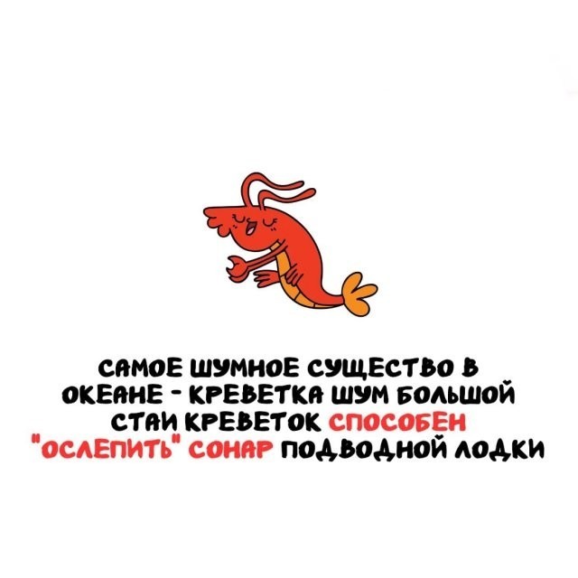 Интересные и короткие факты на все случаи жизни 19.04.26
