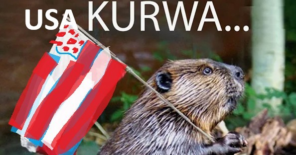 В Польше каждый год проводят живые ролевые игры, где участники притворяются американцами