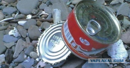 Только в России