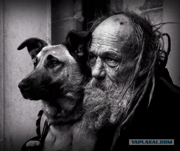 Маша и медведь отдыхают