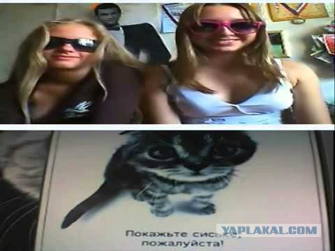 Жизнь одной Темы на ЯПе