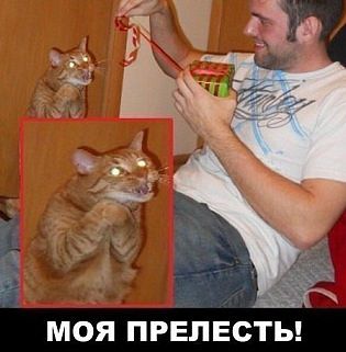 Капля позитива