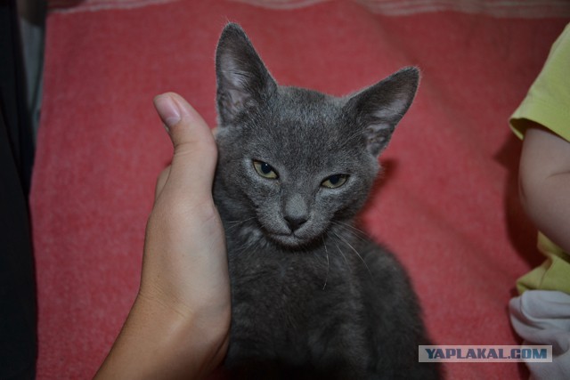 Бюджетный дом небюджетного формата