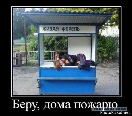 Пьяные, они такие пьяные ...