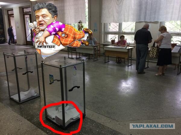 Мое голосование во Львове