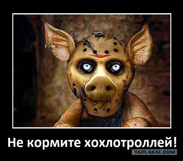 В Николаевке, Моторола ведёт бой.