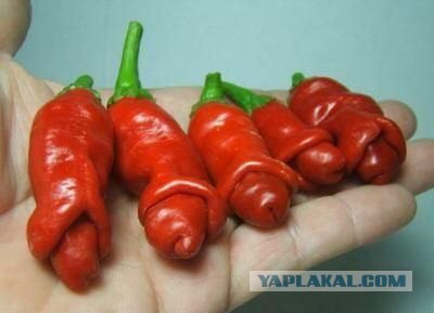 Если бы афиши к фильмам рисовали по названию
