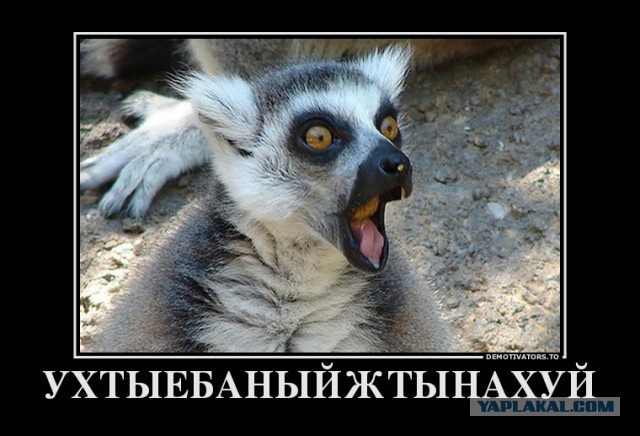 В Москве скончалась Валерия Новодворская, Допротестовалась =)