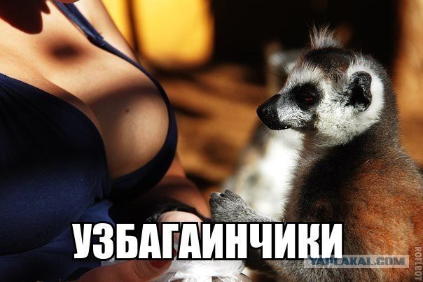 Новые "комментарии из соцсетей"