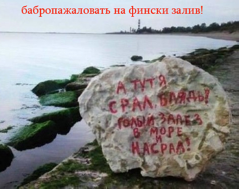 Новые "комментарии из соцсетей"