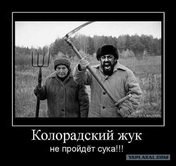 Демотиваторов пост, добавляйте свои