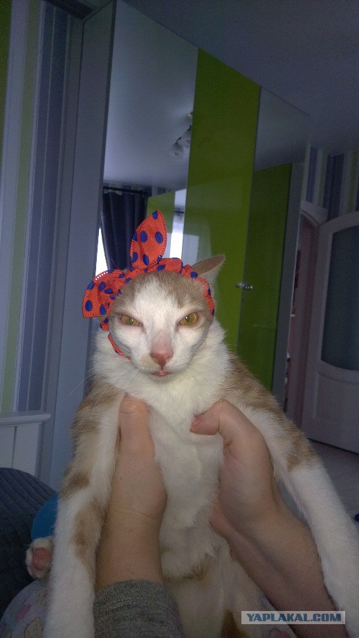 Рукожопим полы в бане
