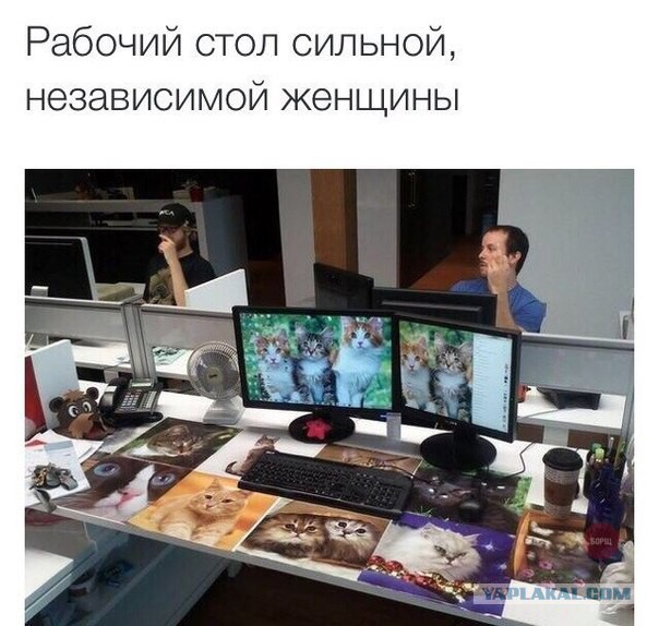 Не юкки ради, улыбки для...