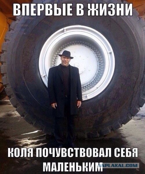 Вторничные картинки