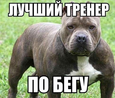 Картинок пост