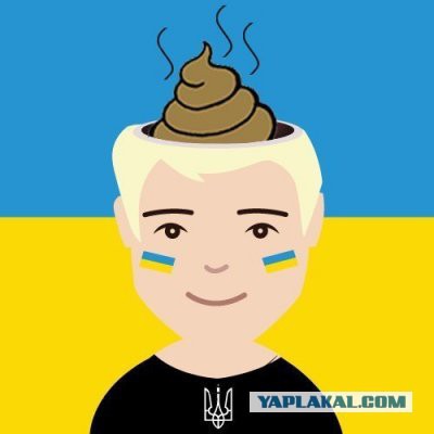 Украинские военные отказались выводить войска из Ш