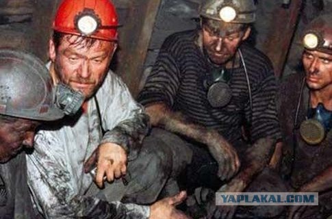 Когда ведро вместо женской сумочки